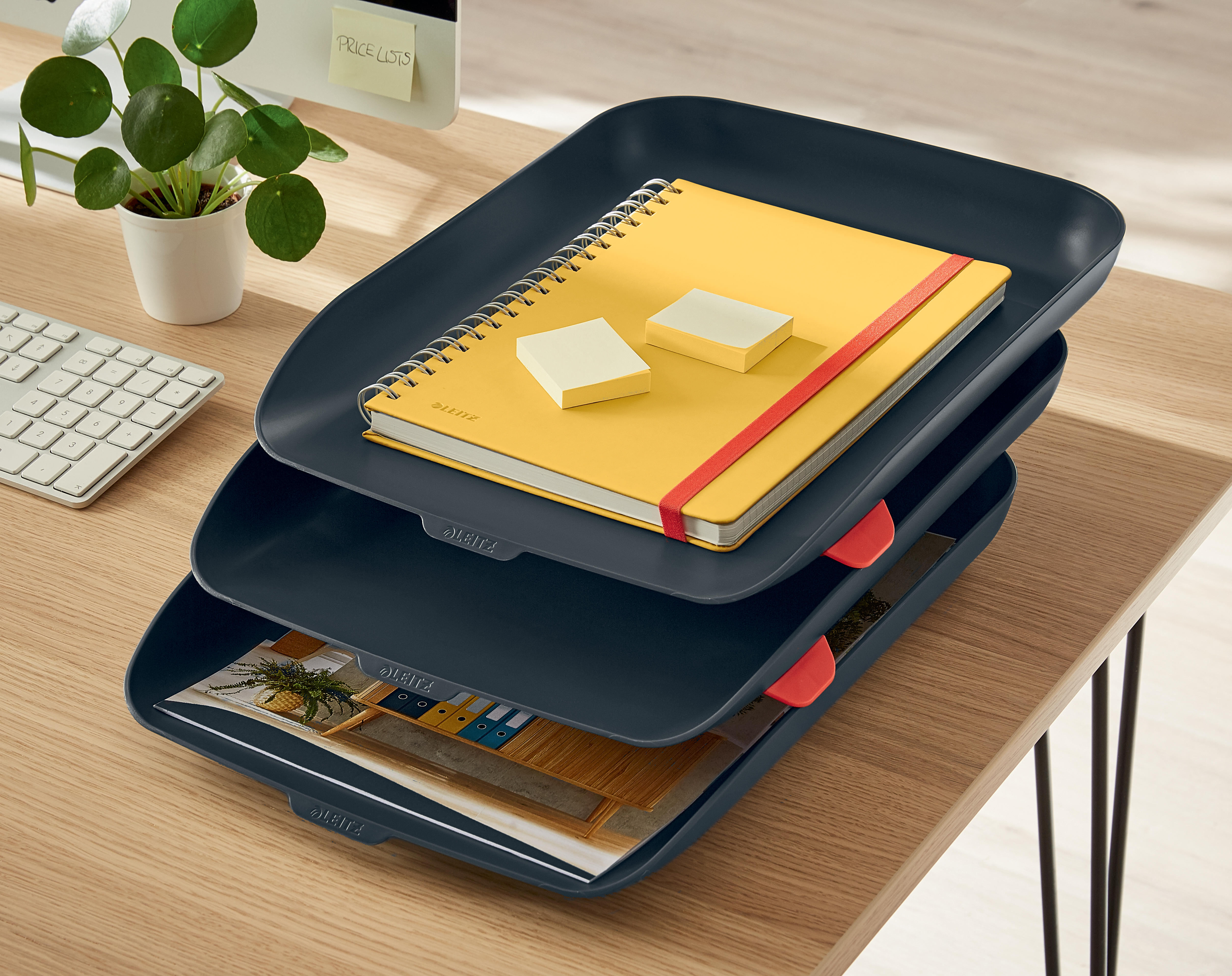 autograf